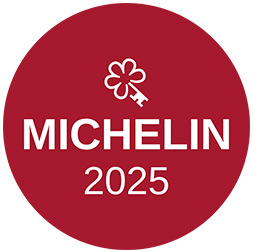 Michelin 25